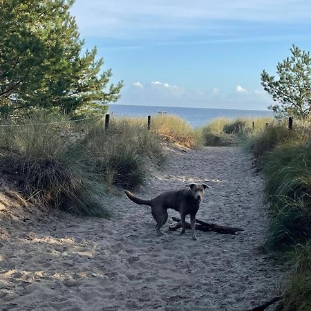 Reet Am Strand Mit Hund Karlshagen Zewnętrze zdjęcie