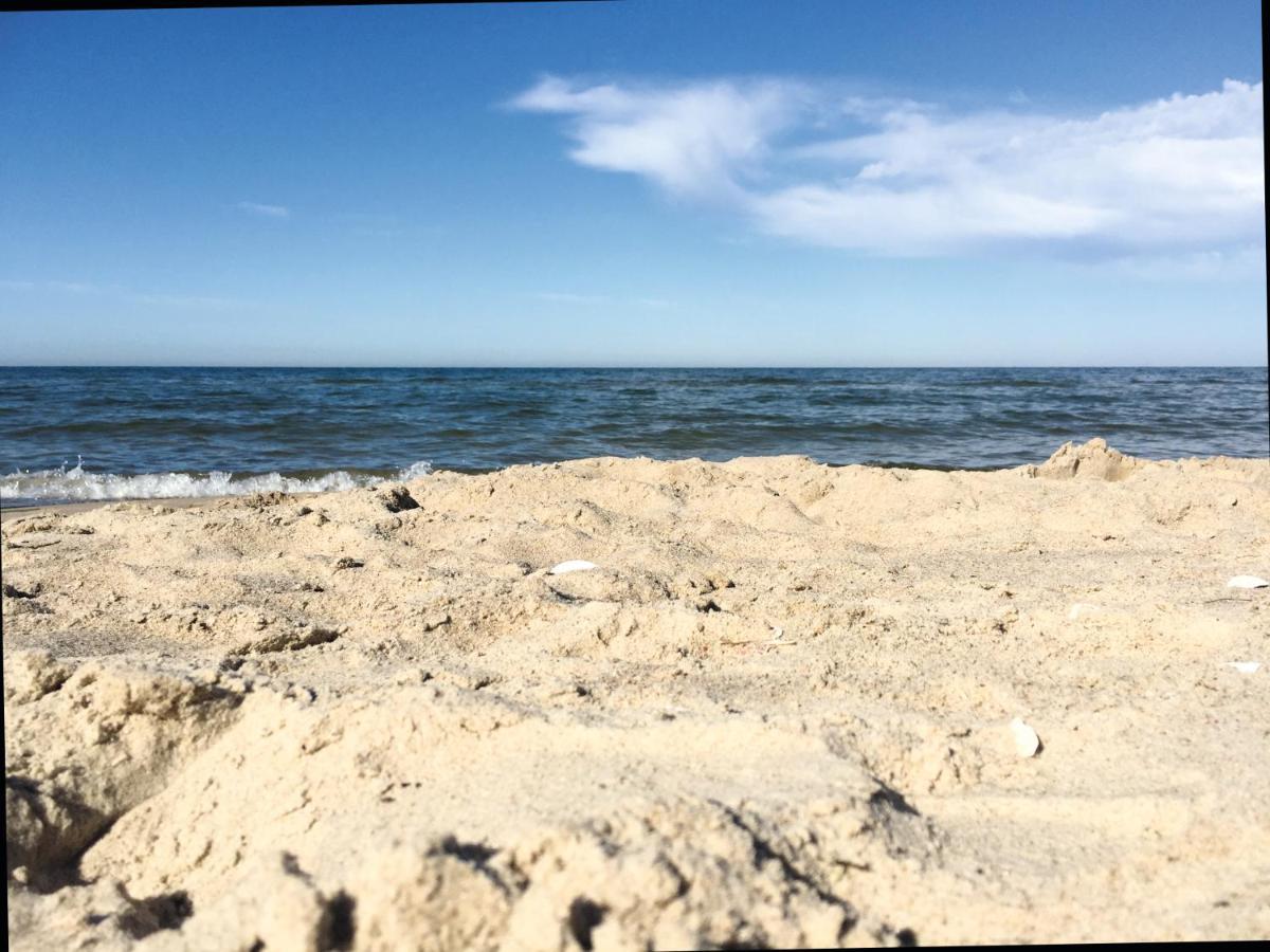 Reet Am Strand Mit Hund Karlshagen Zewnętrze zdjęcie