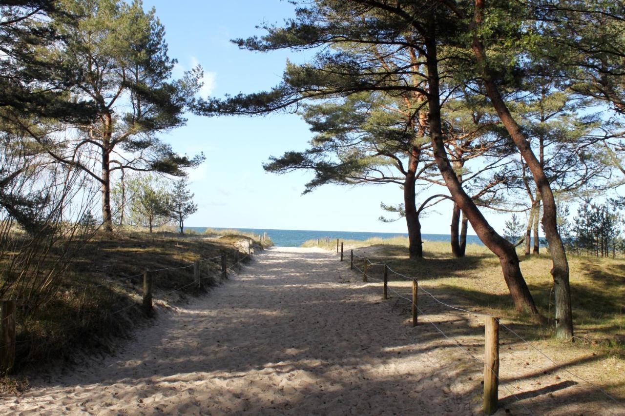 Reet Am Strand Mit Hund Karlshagen Zewnętrze zdjęcie
