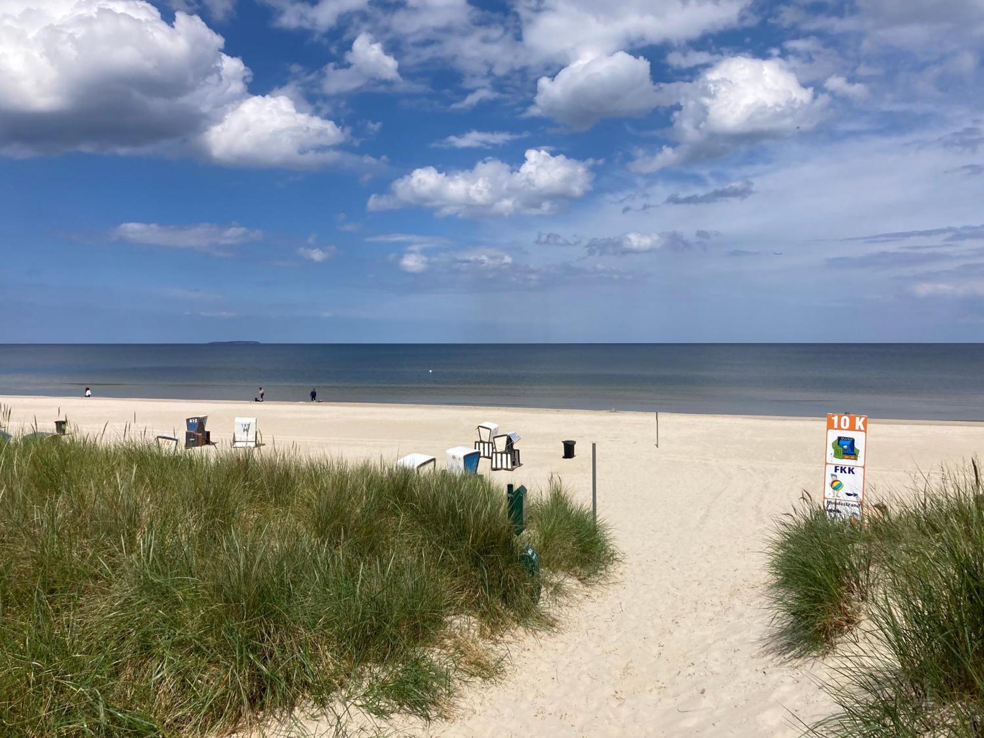 Reet Am Strand Mit Hund Karlshagen Zewnętrze zdjęcie
