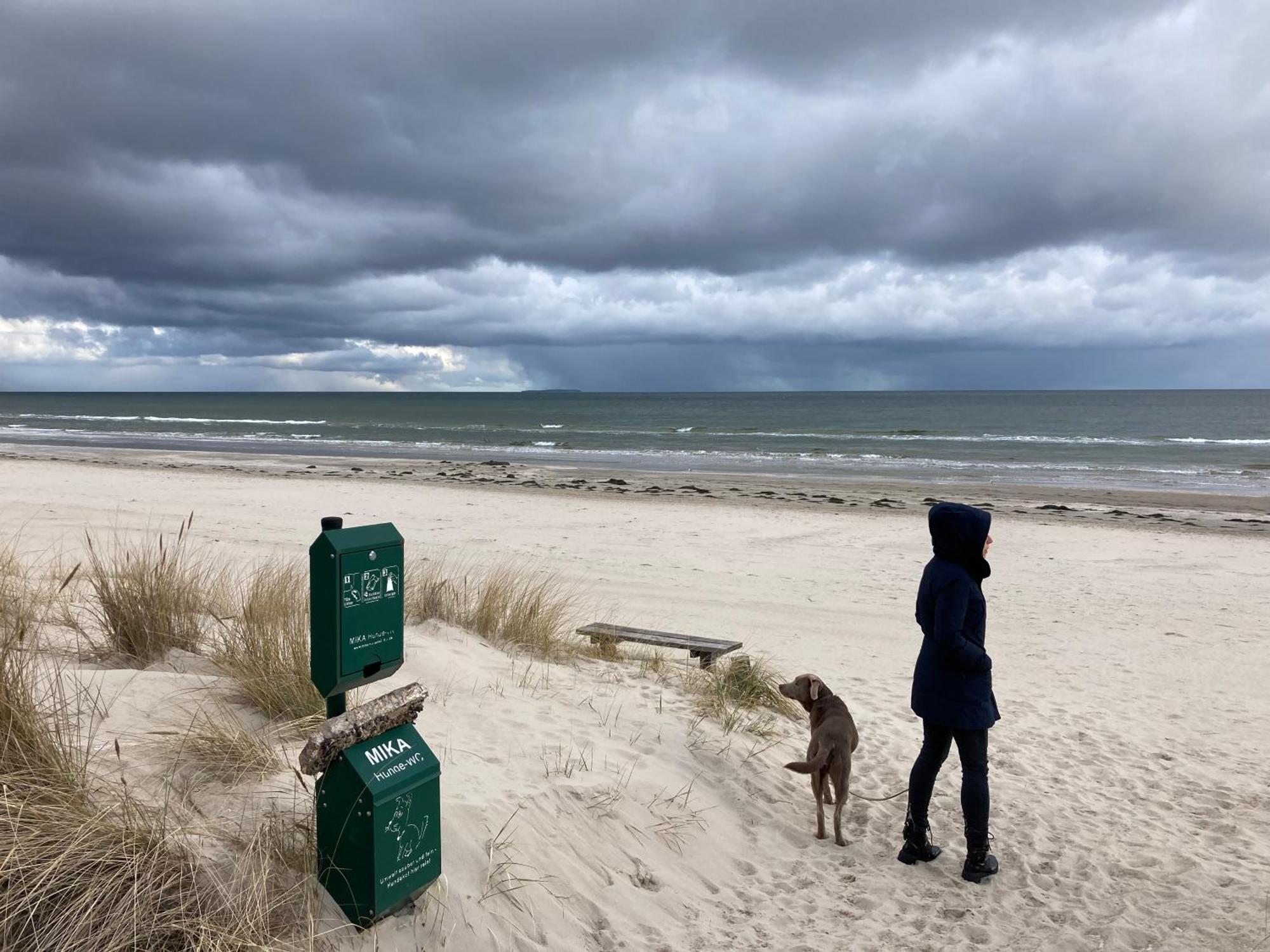 Reet Am Strand Mit Hund Karlshagen Zewnętrze zdjęcie
