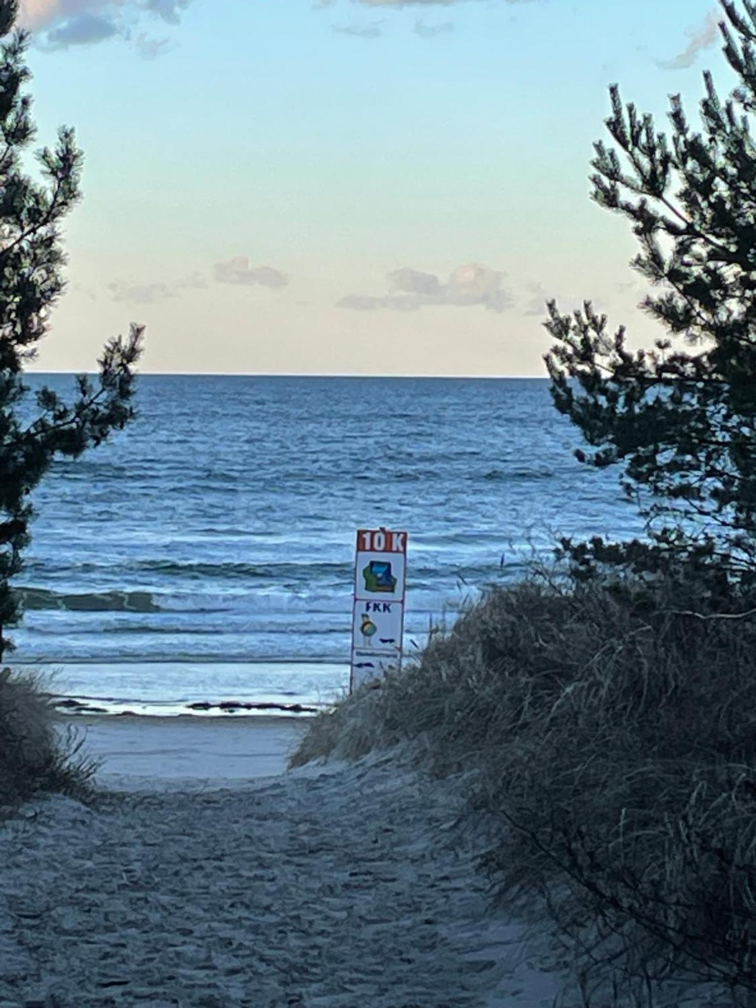 Reet Am Strand Mit Hund Karlshagen Zewnętrze zdjęcie