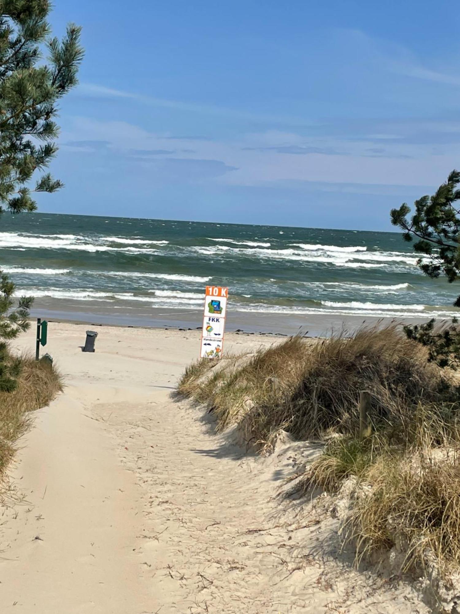 Reet Am Strand Mit Hund Karlshagen Zewnętrze zdjęcie